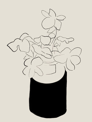 Image Not Available